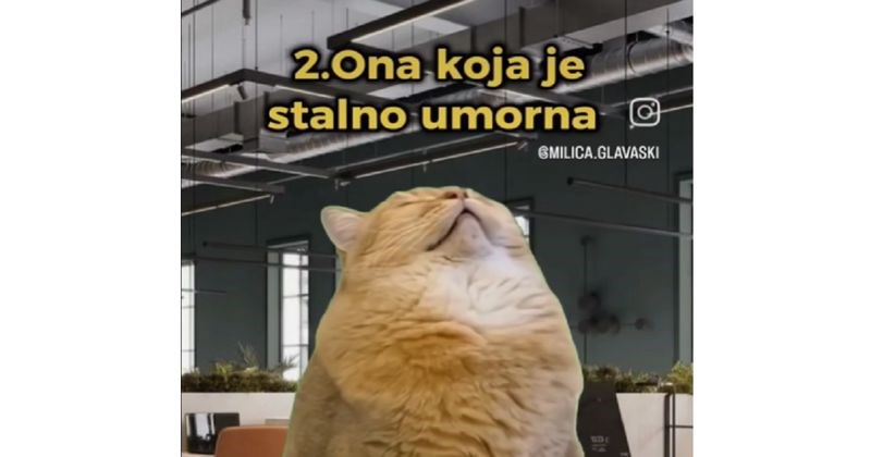 Netko je napravio popis tipova kolega koje postoje na svakom poslu, svi ćete nekog prepoznati u ovom