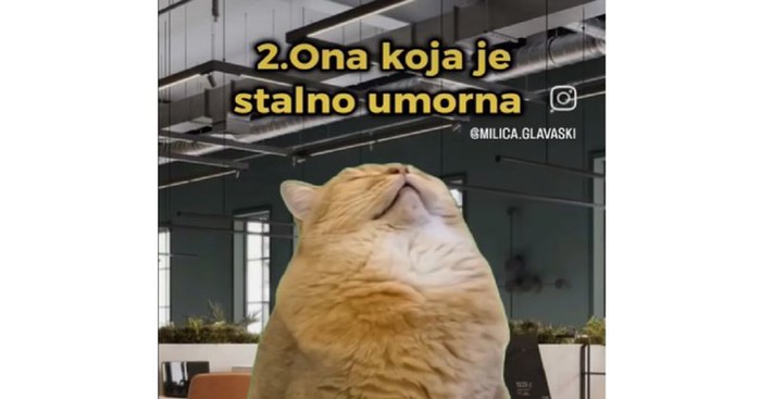 Netko je napravio popis tipova kolega koje postoje na svakom poslu, svi ćete nekog prepoznati u ovom