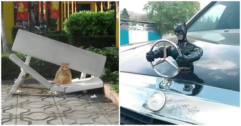 14 komičnih fotki koje će vam momentalno podignuti raspoloženje