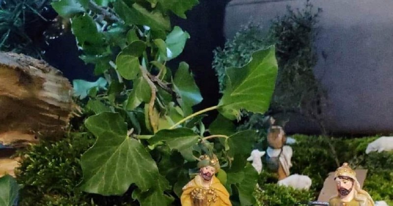 Jedne jaslice i ove su godine hit među Hrvatima, odmah ćete znati odakle je autor ideje