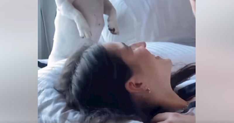 Reakcija psa na poljubac njegovih vlasnika istovremeno će vas nasmijati i rastopiti! Famozan je!