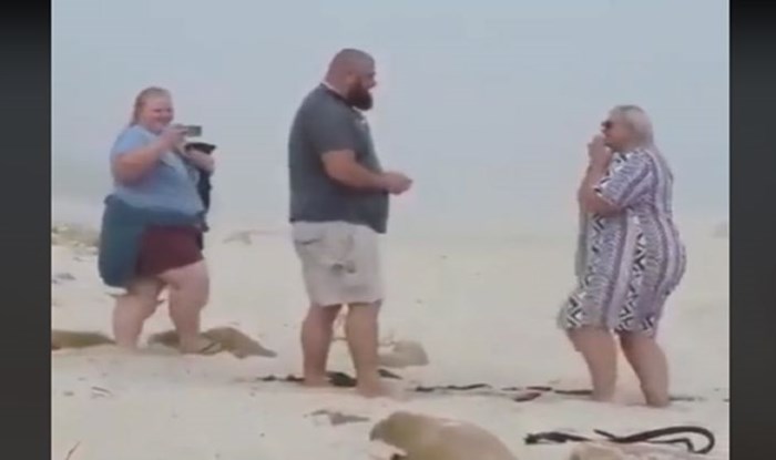 Snimka prosidbe na plaži postala je viralna zahvaljujući nespretnoj snimateljici, prekomična je!