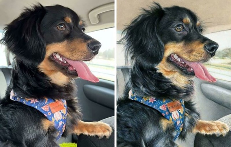 Referentna fotografija u odnosu na crtež olovkom u boji