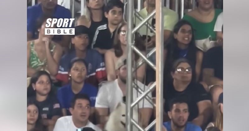 Teniski meč zasjenio je preslatki prizor na tribinama, svi su gledali samo u jednog navijača