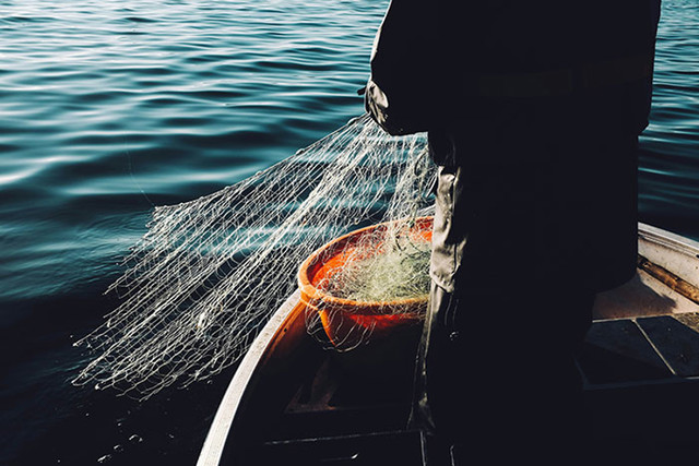 Više od 46% oceanskog otpada su ribarske mreže.  Komercijalni ribolov ubije više životinja u oceanu nego bilo koja plastika
