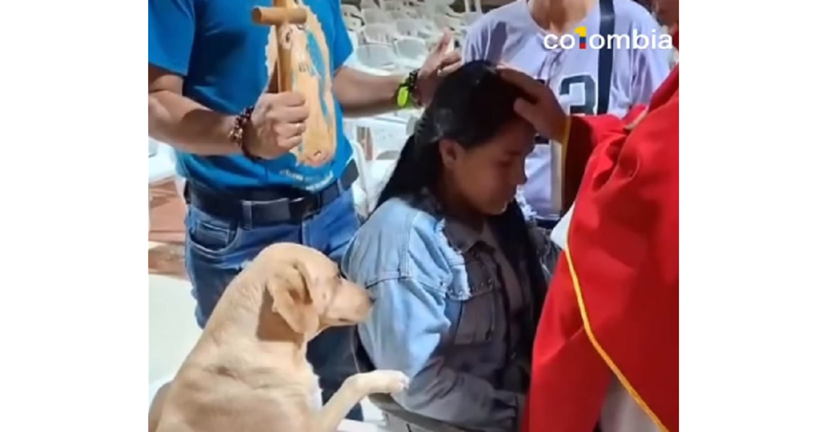 "Pobožni" pas iz Kolumbije velika je zvijezda na IG-u, video s mise srušio je internet u roku keks!