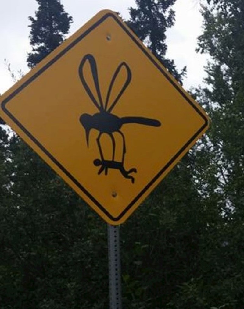 Sestra je fotkala neobičan znak na putovanju kroz Aljasku