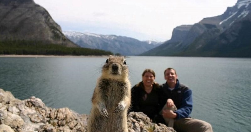 10 najslađih upada u fotku ikad, svaka fotka je smješnija od prethodne