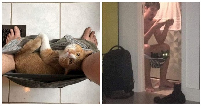 20+ maca koje su možda malo previše vezane za svoje vlasnike, ali na prekomičan način
