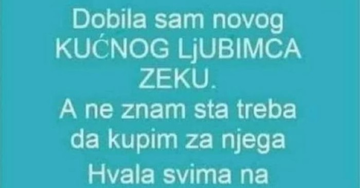 Na Fejsu je tražila savjet o opremi za novog ljubimca- zeca. Komentar ovog tipa srušio je internet!