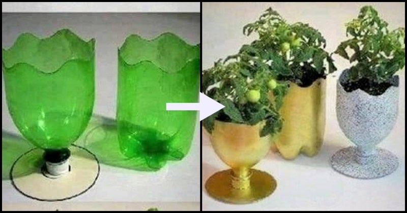 14 načina kako reciklirati plastične boce- ima baš genijalnih ideja!