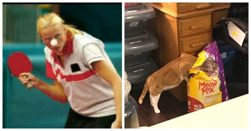 16 fotki okinutih u pravom trenutku, svaka je luđa od prethodne!