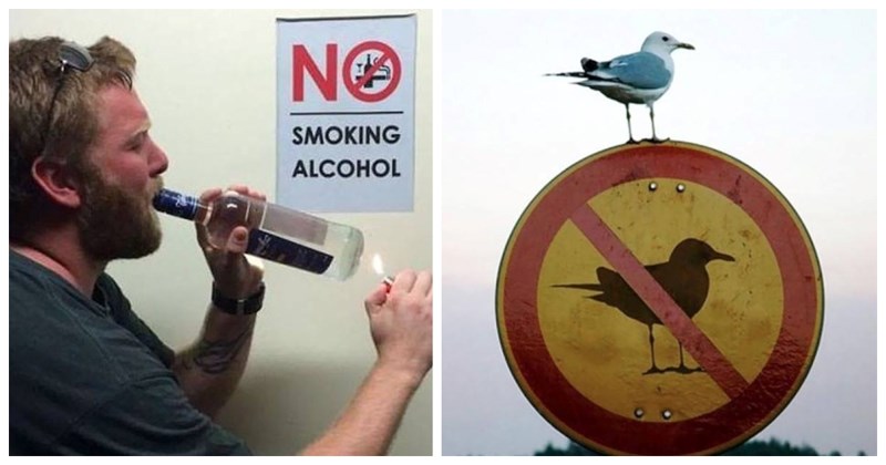 20+ buntovnika bez razloga koji su nasmijali čitav Internet svojim urnebesnim revoltom