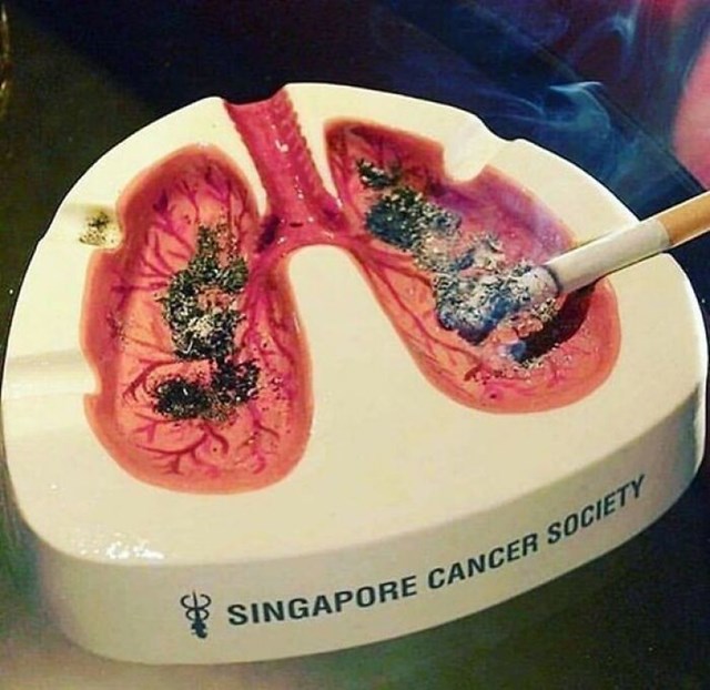 Ovaj dizajn vam pokazuje kako će vaša pluća izgledati nakon pušenja!