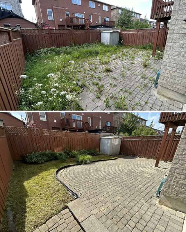 Dvorište prije i nakon čišćenja