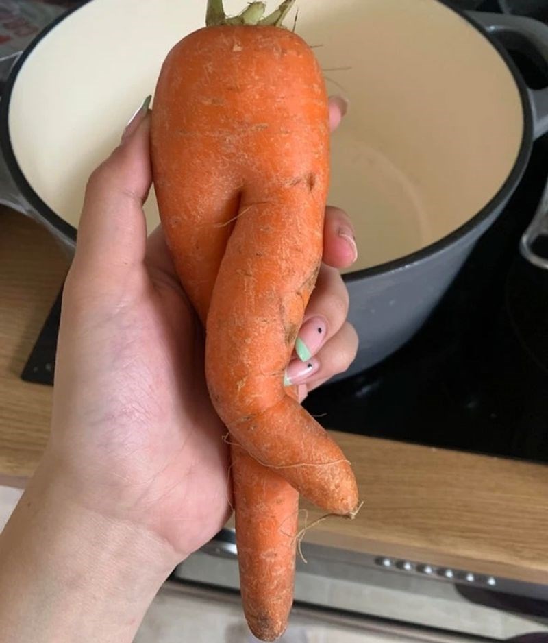 Sramežljiva mrkva iz mog vrta