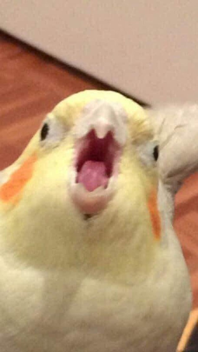 3.