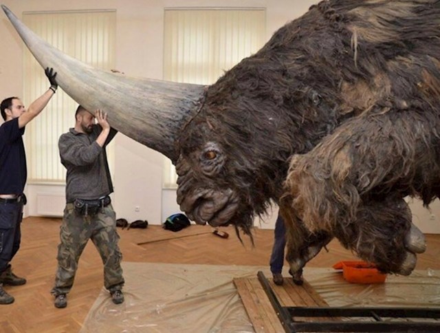 Sibirski jednorog, 'Elasmotherium', koji je izumro prije 29 000 godina