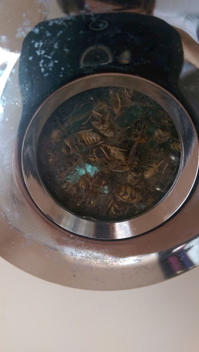 Jedno svjetlo u kući nije radilo kako treba, otišao je provjeriti zašto