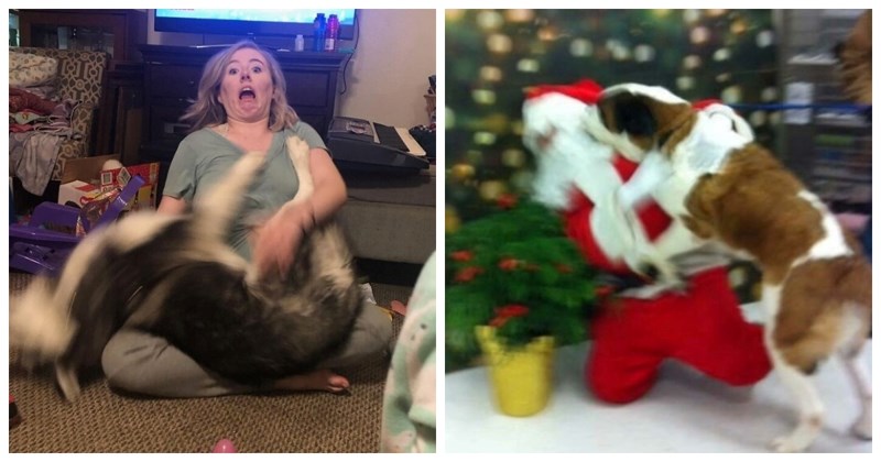 20 puta kada su psi uletjeli u kadar i napravili totalni kaos... ali i najsavršenije fotke IKAD