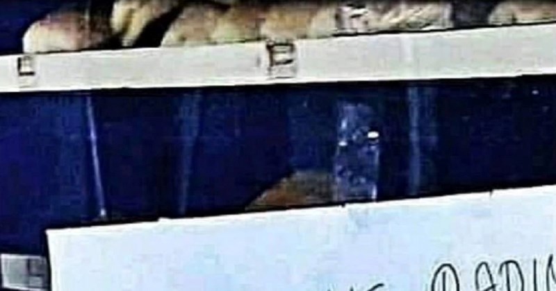 Obavijest na vratima pekare postala je hit na Fejsu, ovakav biser se rijetko viđa