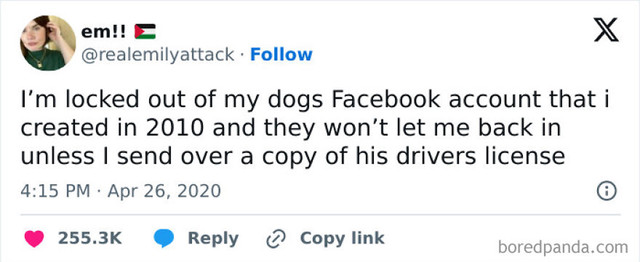 Problemi s Facebookom jednog psa