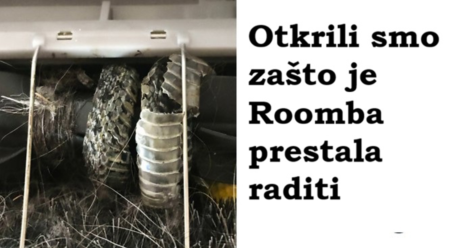 13 bizarnih prizora zbog kojih ćete morati protrljati oči da povjerujete