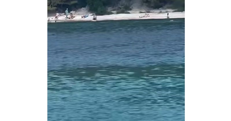 Tip iz Dalmacije pobrao je sve poglede na plaži zbog onog što je ponio u more, hit je