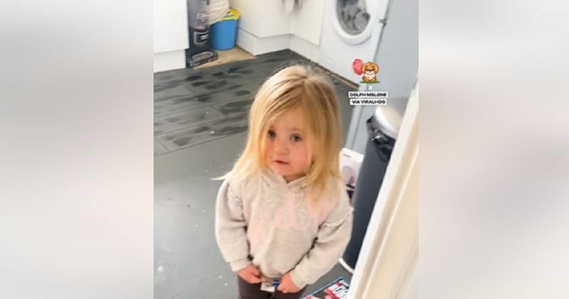 Djevojčica je pokušala svaliti krivnju za nered na psa, urnebesni zaokret nasmijao je Fejs