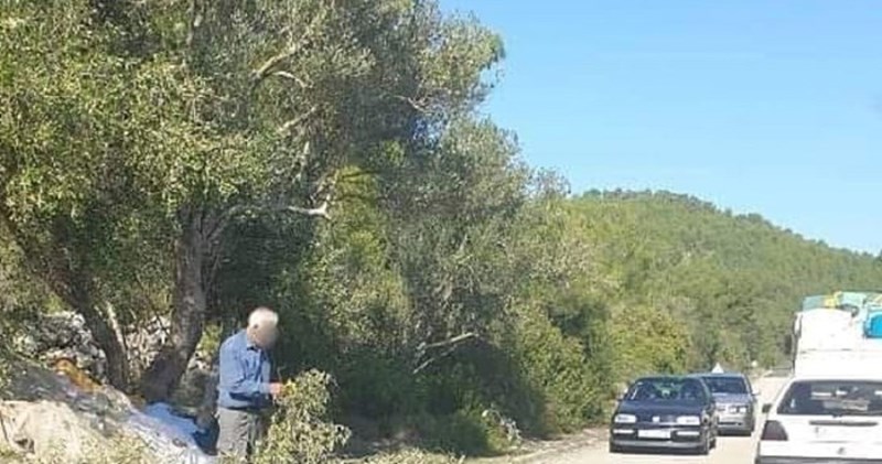 Prizor iz Dalmacije nasmijao je Fejs, pogledajte što je stvorilo kolonu na cesti