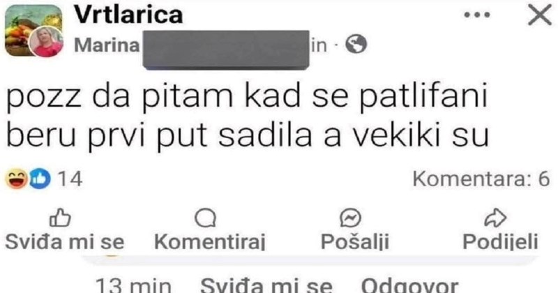 Totalno nepismena objava jedne žene danima zabavlja Fejs, za sve je zaslužan prekomičan komentar