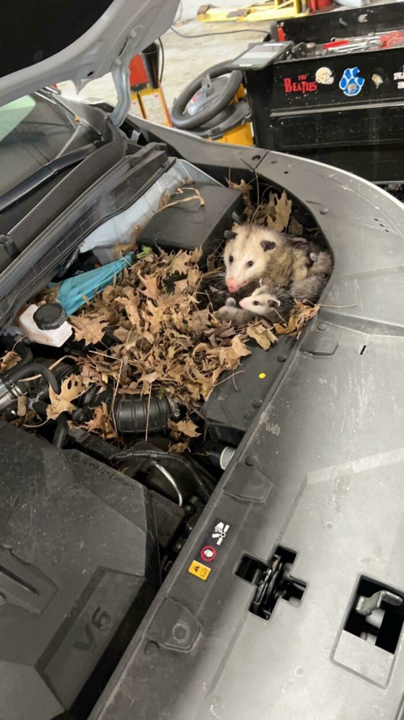 Mušterija je rekla da su joj se upalile neke lampice...