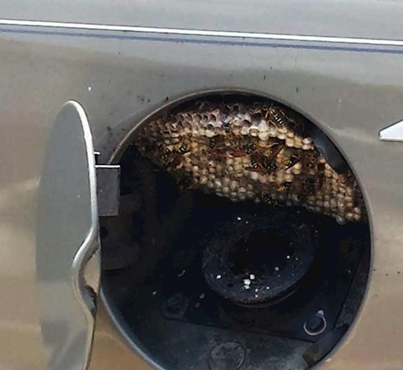 Nije faca onaj tko utoči pun tank po ovim cijenama, nego onaj tko utoči išta u ovaj tank!