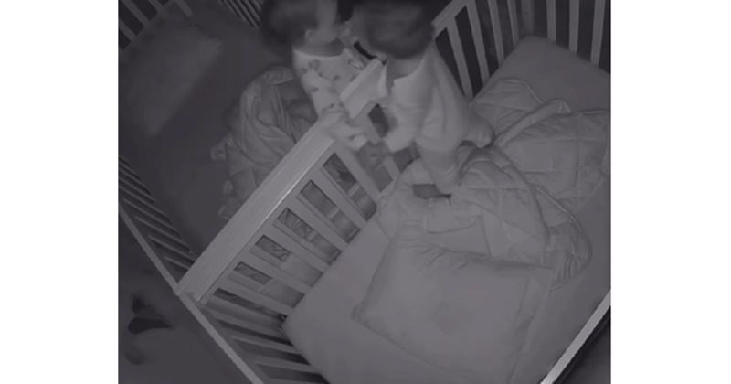 Blizanci su prvi put u životu bili odvojeni na jedan dan, njihov ponovni susret rastopio je milijune