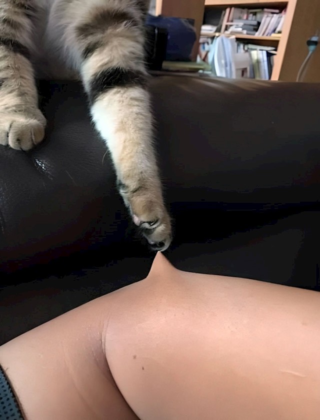 6.