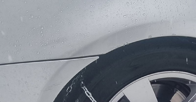 Fotka Dalmatinca na snijegu nasmijala je čitavu Hrvatsku, odmah ćete vidjeti zašto je takav hit