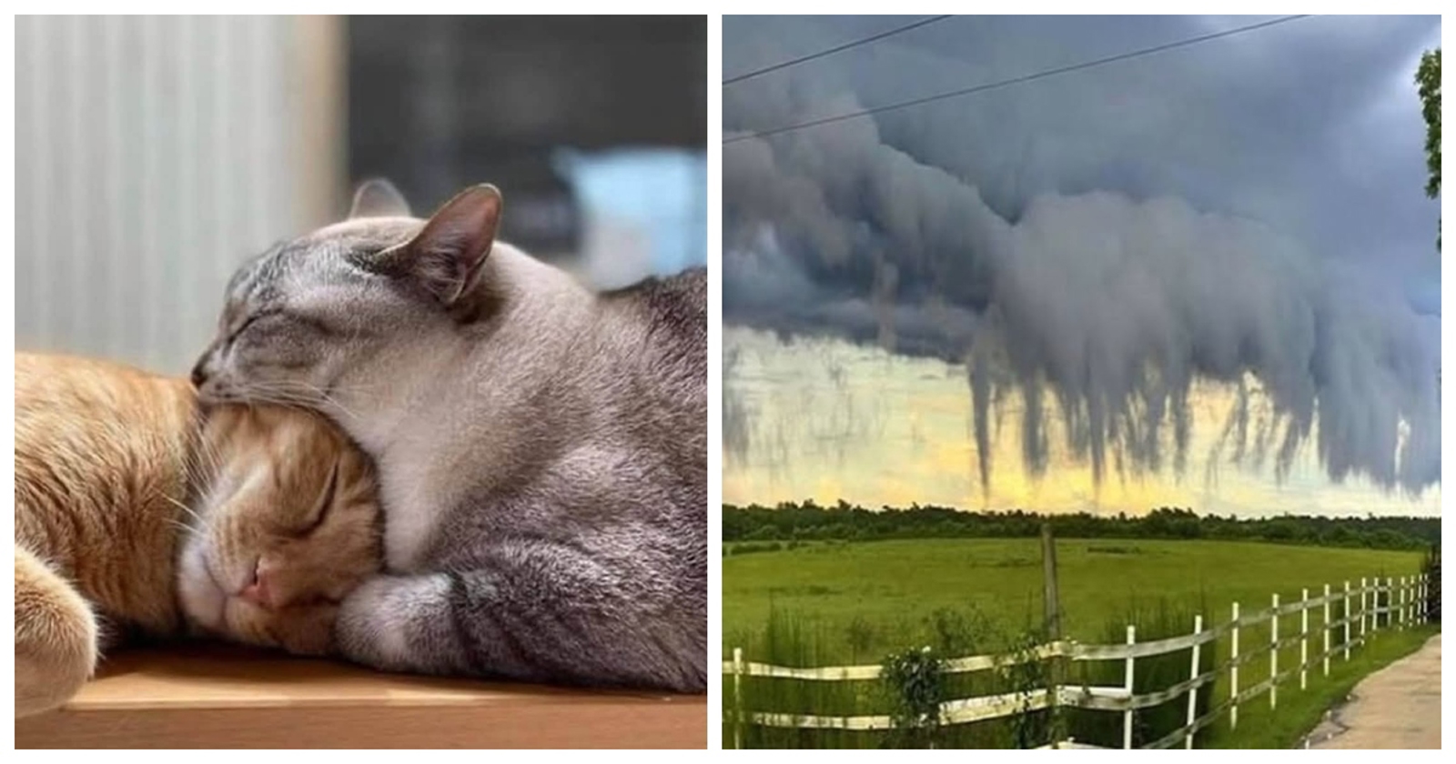 12 fotografija divnih prizora od kojih će vas jedni napuniti pozitivom, a drugi nasmijati