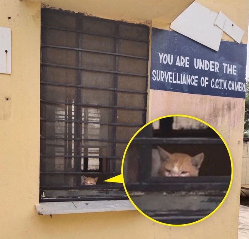 Nema bolje nadzorne kamere