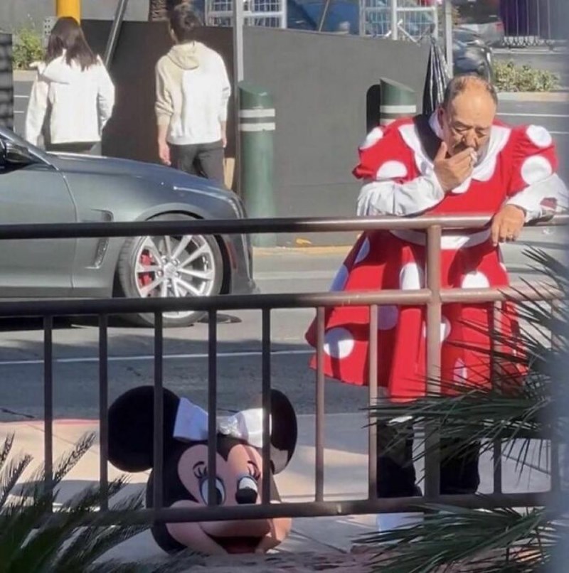 Minnie na pauzi 😅