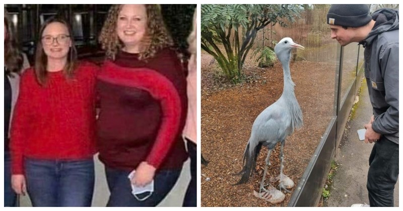 16 fotki za koje na prvi pogled definitivno nećete shvatiti što se na njima događa