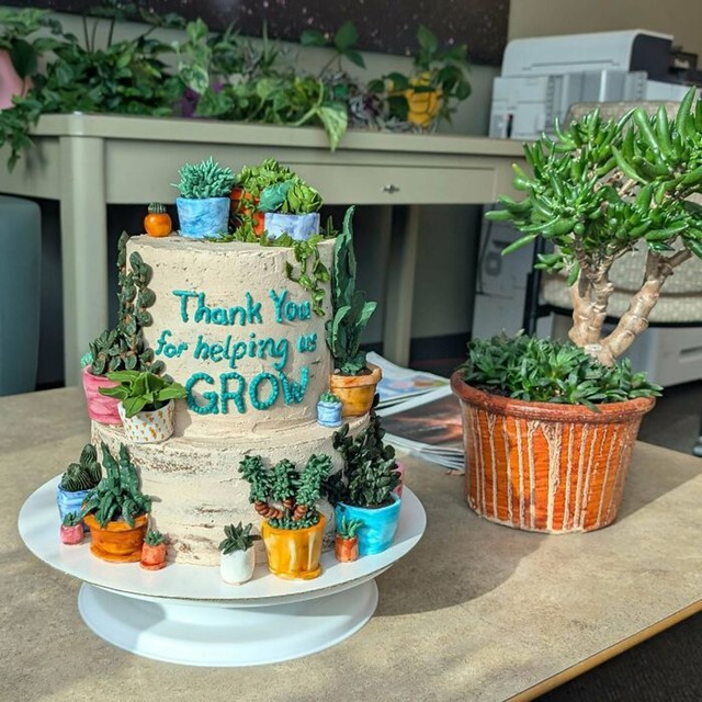 Torta za ljubitelje biljaka