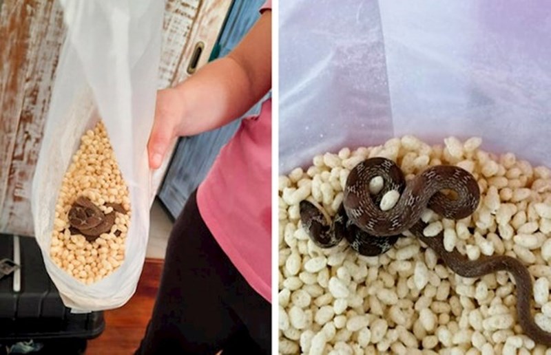 Dobar tek! Kakvo buđenje!