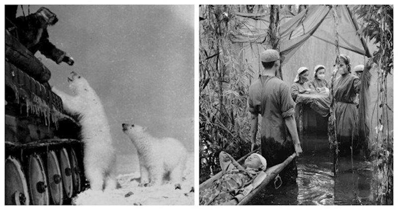 10 moćnih povijesnih fotografija koje će vas navesti na razmišljanje