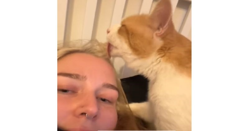 Maca je htjela očistiti "krzno" svoje vlasnice, brzo je požalila. Video je predobar!