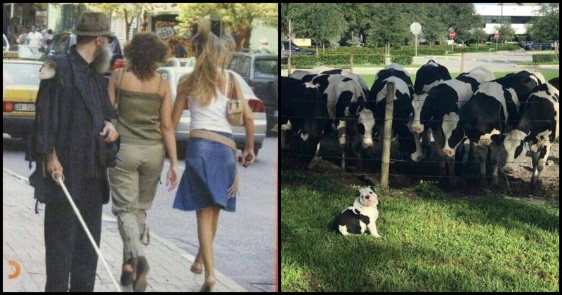 12 prizora koji se viđaju jednom u životu, momentalno će vam podignuti raspoloženje!