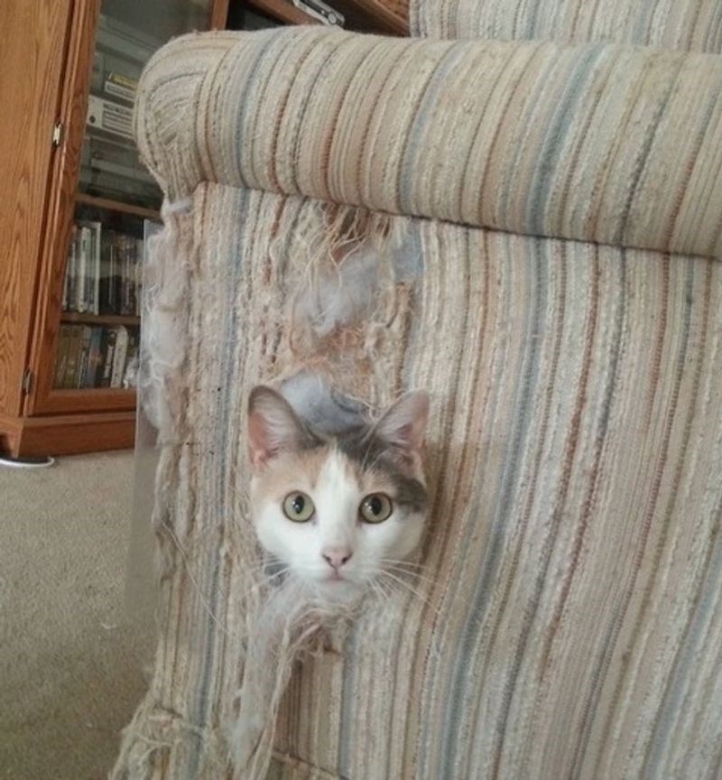 Zašto ne mogu imati lijepe stvari...