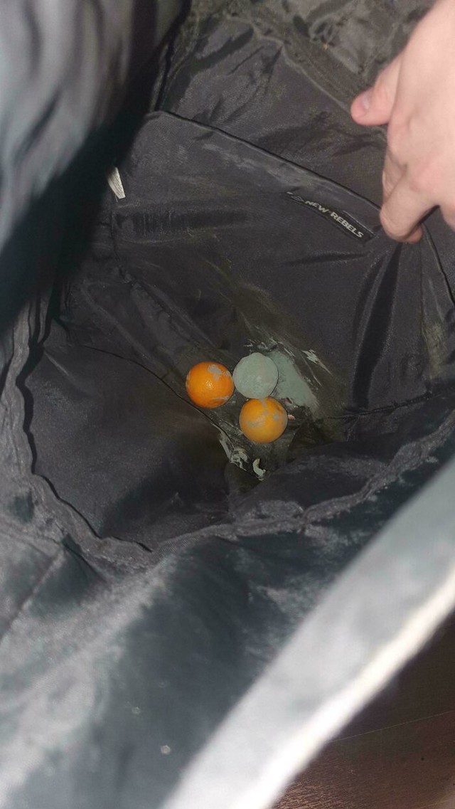 Zaboravljene mandarine u ruksaku