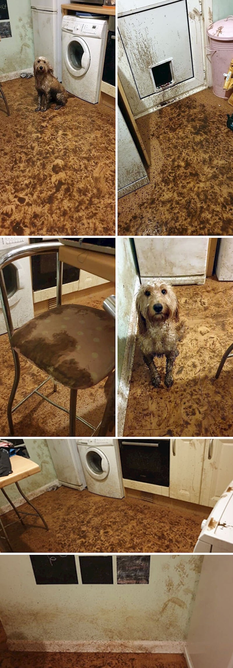 Najgore je što se ne mogu niti naljutiti