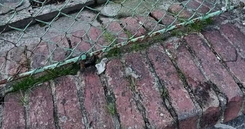 Potrgala im se ograda pa je baka uzela stvar u svoje ruke, rezultat je postao hit u regiji