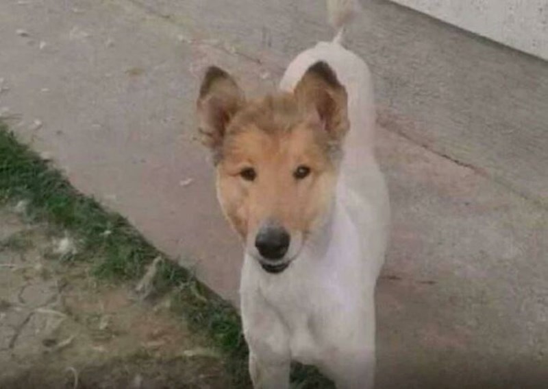 Isti Richard Gere! Isti!!!